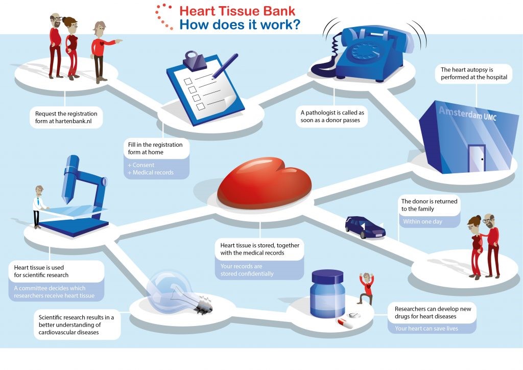 Heart tissue bank